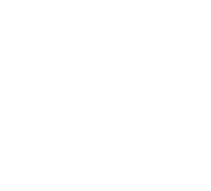 Decorus Andaman Travels Pvt. Ltd.